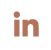 expertives icon linkedin